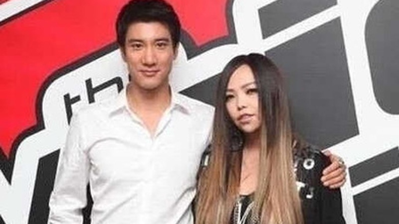 腾势官宣王力宏为全球代言人，经纪人称费用全换比亚迪股票